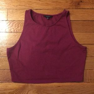 Talula / Aritzia Crop Top